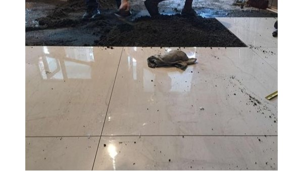 強(qiáng)力瓷磚膠和水泥區(qū)別